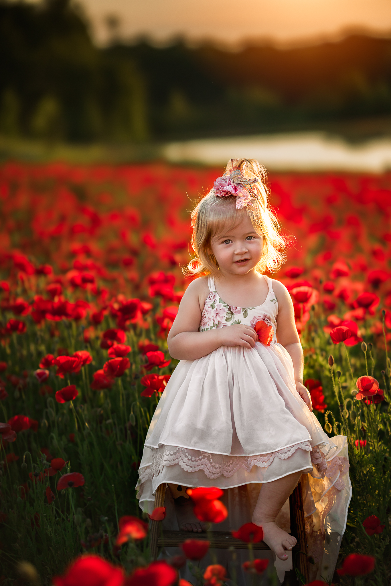 young girl sitting in a field of red poppies