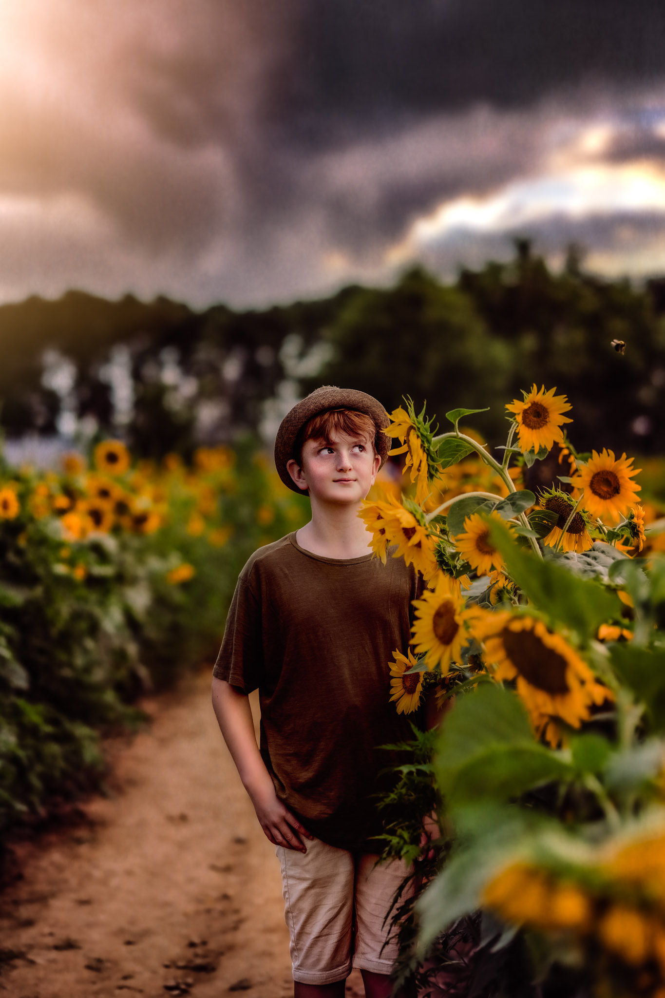 Young boy in the Raleigh sunflowers with a fedora hat glancing at a bee