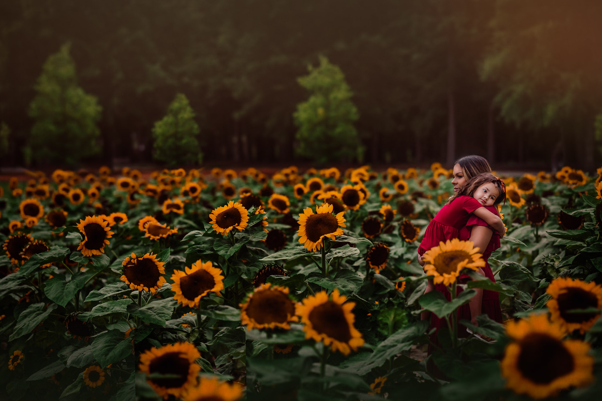 mother holding her little girl in the sunflower fields of Raleigh, NC
