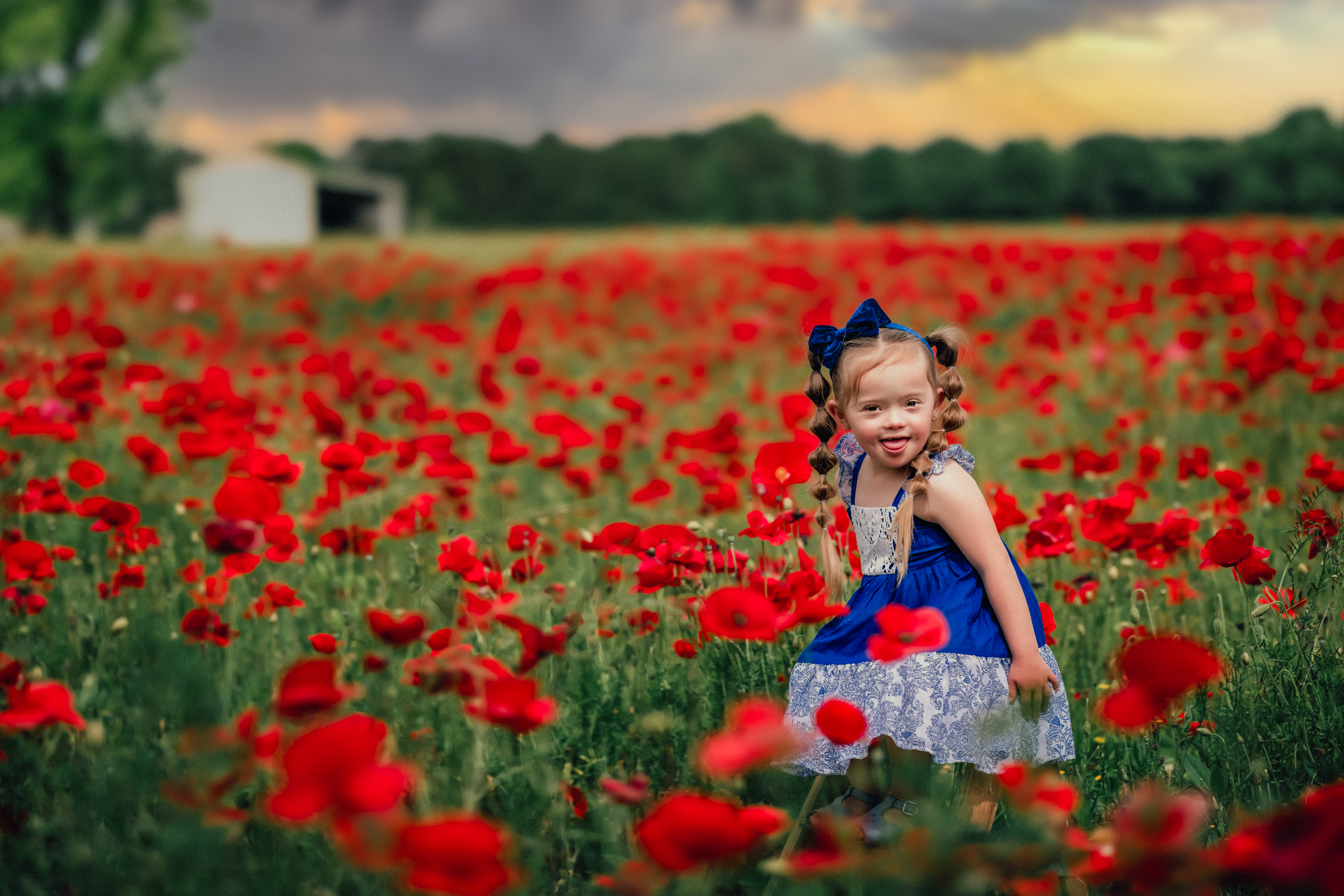 Toddler girl wearing a blue dress in red poppy flowers