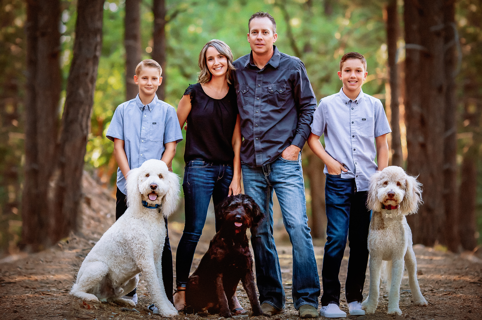 Family with 3 dogs in a forest