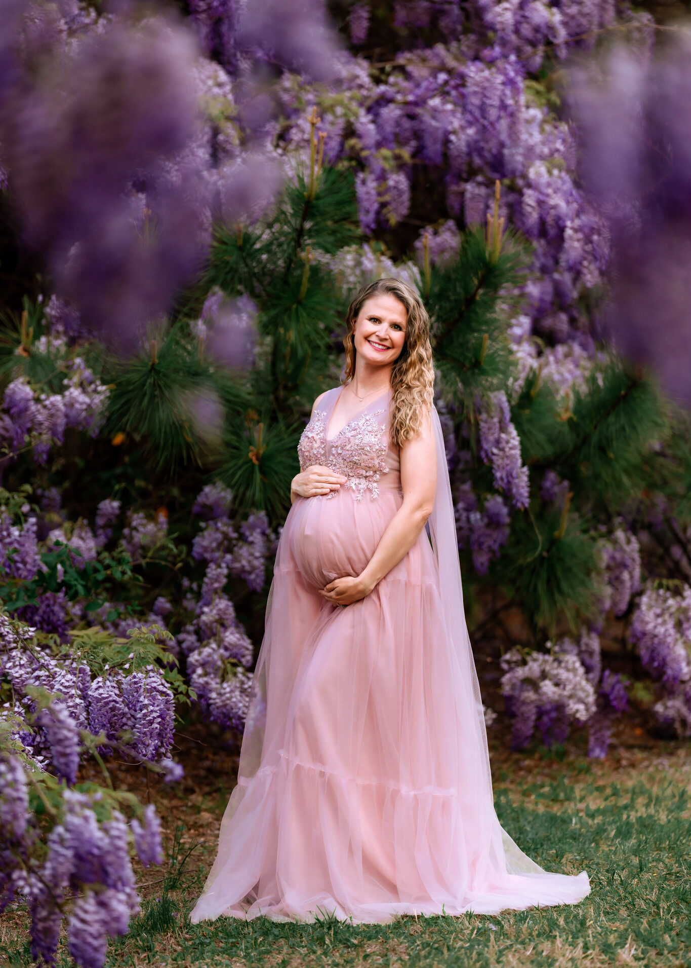 maternity photo in the wisteria blooms near durham, NC