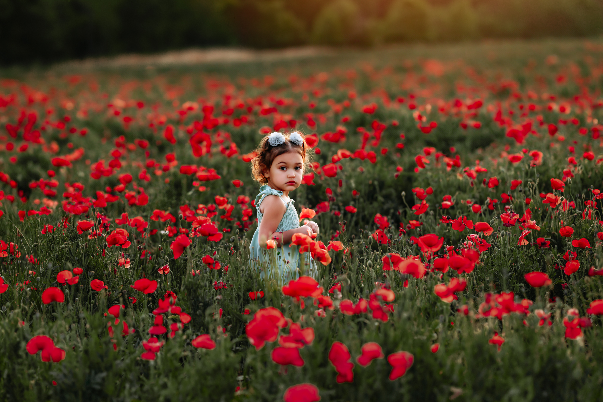 little girl in the red poppy fields at sunset at Dogwood Farms