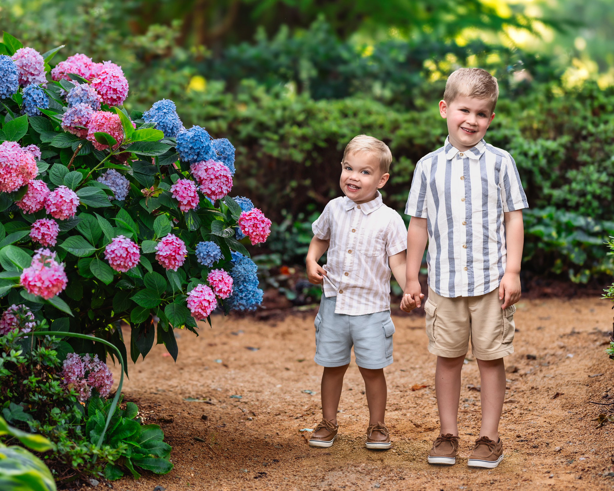 Two little boys holding hands in the hydrangeas at the WRAL gardens
